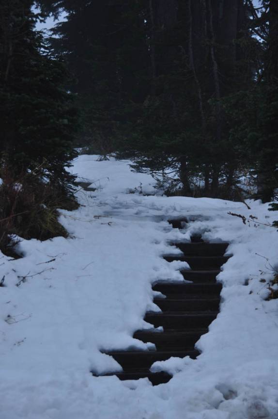 Trilha tomada pela neve no Mount Rainier National Park, no estado de Washington, oeste dos Estados Unidos